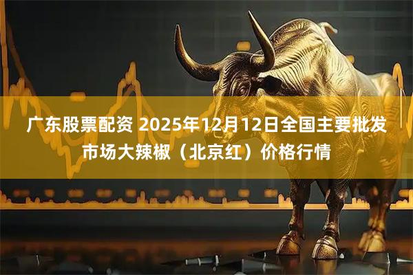 广东股票配资 2025年12月12日全国主要批发市场大辣椒（北京红）价格行情
