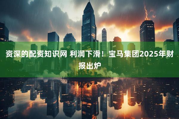 资深的配资知识网 利润下滑！宝马集团2025年财报出炉
